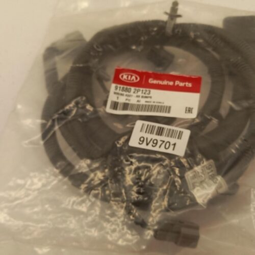 Cable Harness, 918802P123
