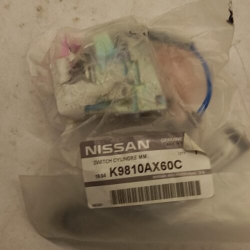 Lock Cylinder, Ignition Lock, K9810AX60C