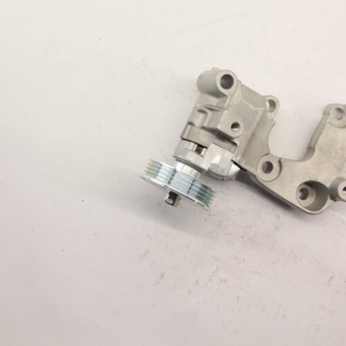 Belt Tensioner/Pulley, 1662031070