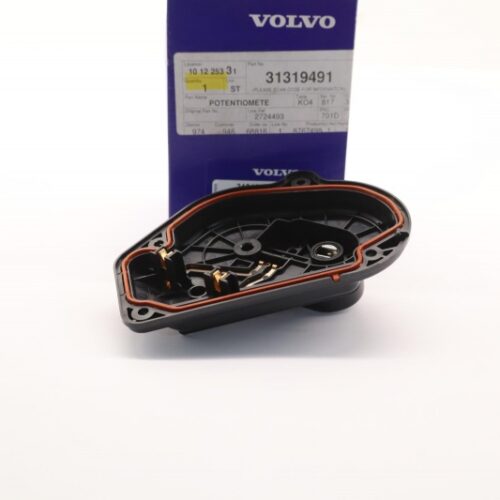 Adjusting Potentiometer, Idle Mixture, 31319491