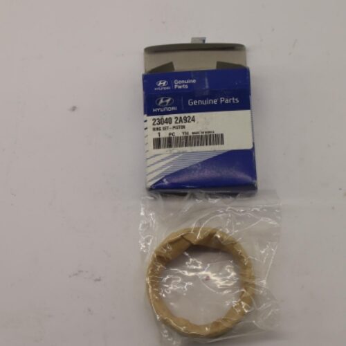 Piston Ring Kit, 230402A924
