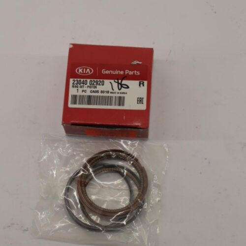 Piston Ring Kit, 2304002920