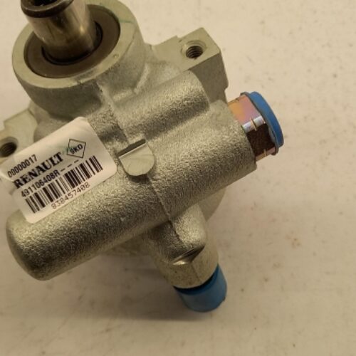 Hydraulic Pump, Steering System, 491106408R