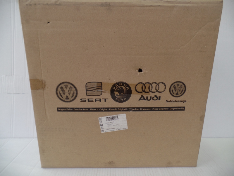 Electric Motor, Radiator Fan, 165959455T