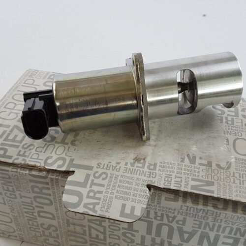 EGR Valve, 8200542997