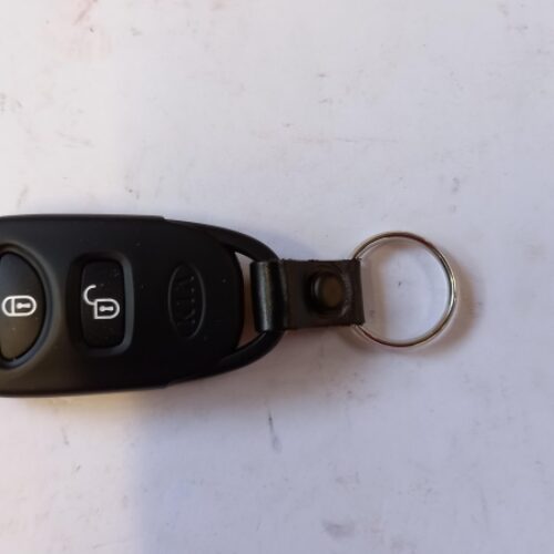 Remote Control, 954301F210