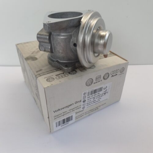 EGR Valve, 038131501AN