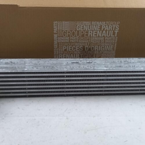 Intercooler, Charger, 144961285R