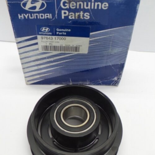 Belt Tensioner/Pulley, 9764317000