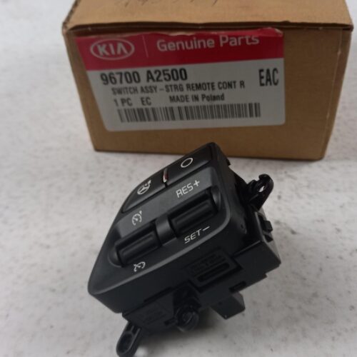 Steering Wheel Switch, 96700A2500