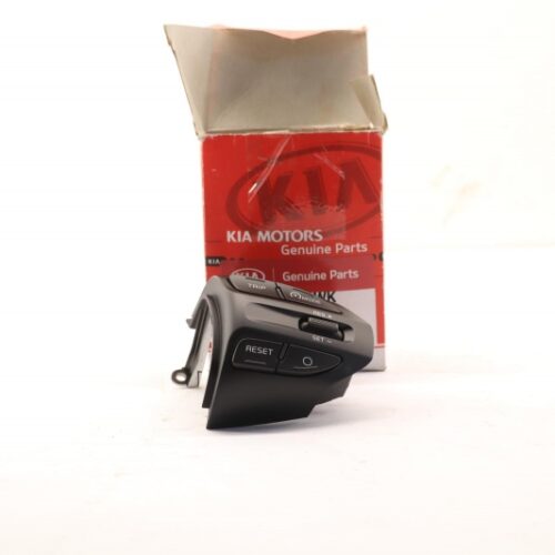 Steering Wheel Switch, 96720H8520WK