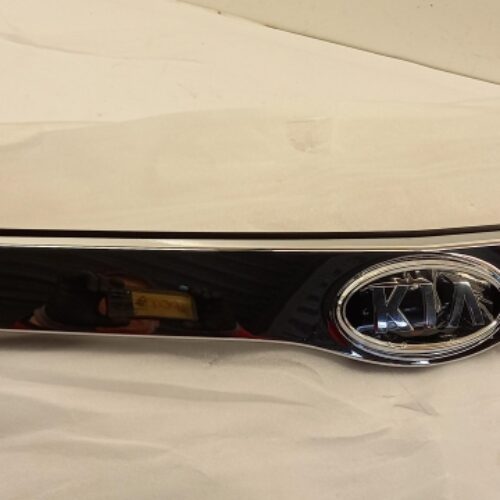 Radiator Grille Insert, 863552J000