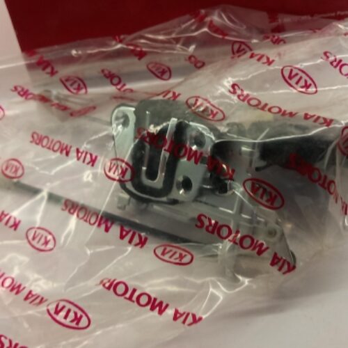 Door Lock, 813111D000