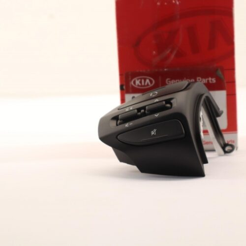 Steering Wheel Switch, 96710H8510