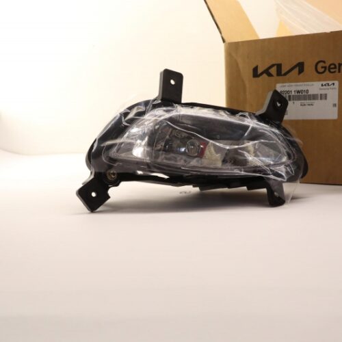 Fog Light, 922011W010