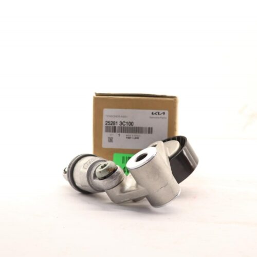 Belt Tensioner/Pulley, 252813C100