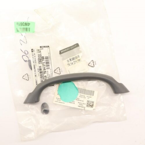 Grab Handle, Interior, 769427179R