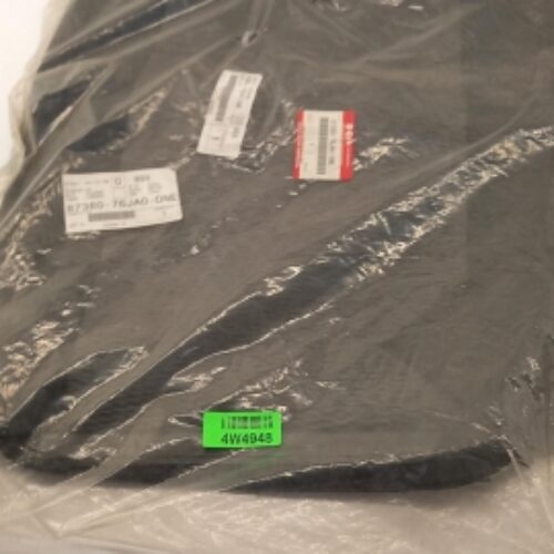 Trim/Protective Strip, Door, 8738076JA0DNE