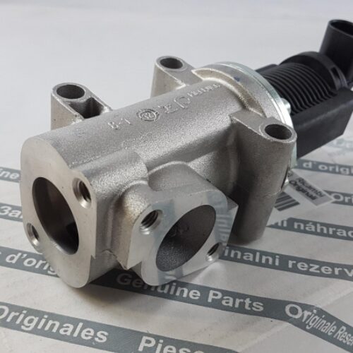 EGR Valve, 55215029