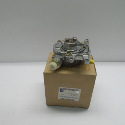 Vacuum Pump, Brake System, 24406131