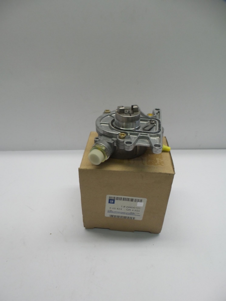 Vacuum Pump, Brake System, 24406131