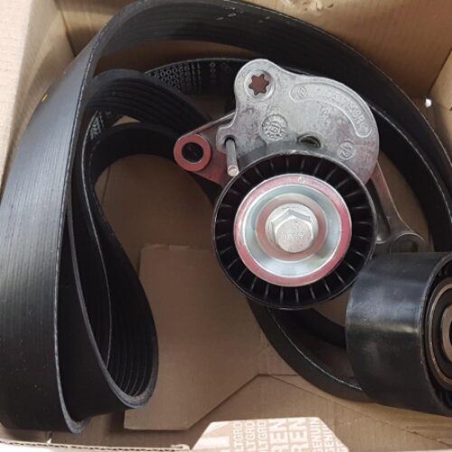 V-Belt Kit, 7701476644