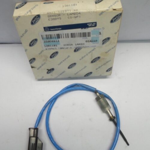 Lambda Sensor, 1381181