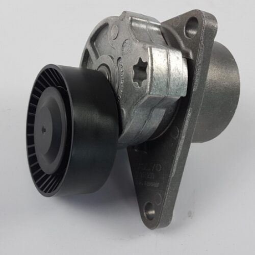 Belt Tensioner/Pulley, 31251250