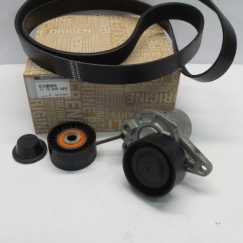 V-Belt Kit, 117209886R