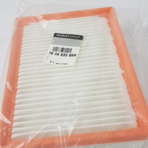 Air Filter, 165463389R
