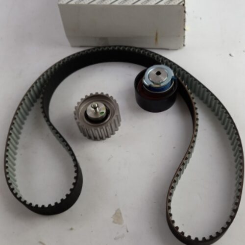 Timing Belt Kit, 6001073299