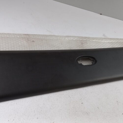 Trim/Protective Strip, Door, 93197648