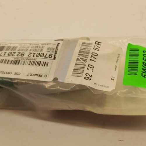 High Voltage Battery (Lithium-Ion), 922017057R