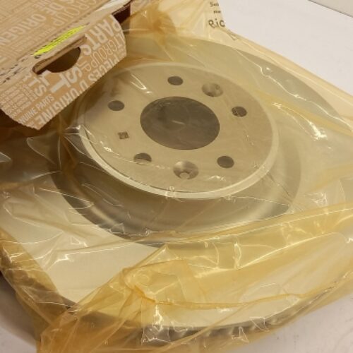 Brake Disc (1pc), 402975316R