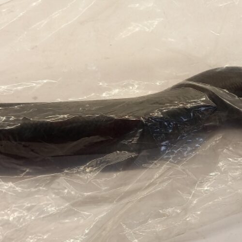 Charger Intake Hose, 1505A567