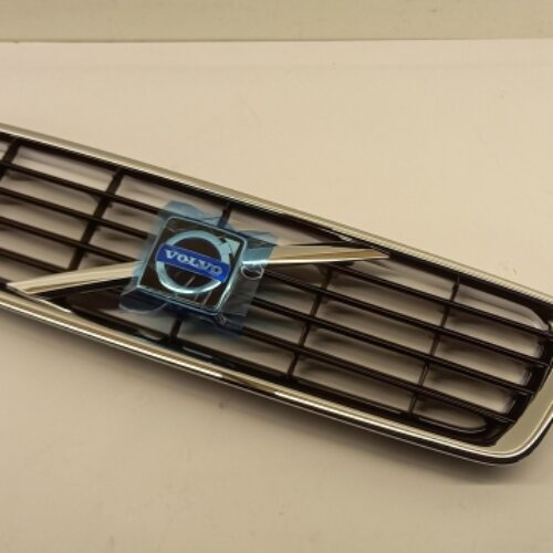 Radiator Grille, 30657194