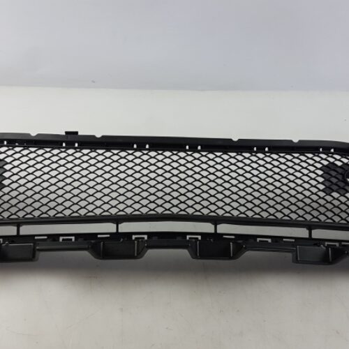 Bumper Grille Insert, A1178852122