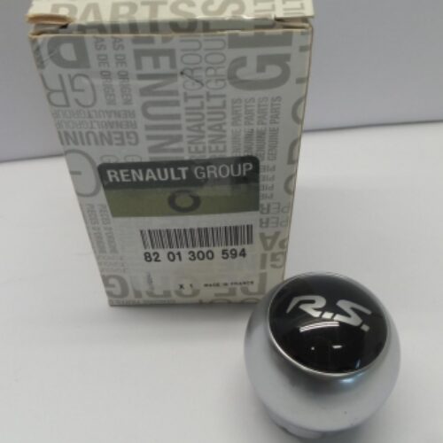 Gear Lever Knob, 8201300594