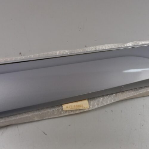 Trim/Protective Strip, Door, 8R0853970LGRU