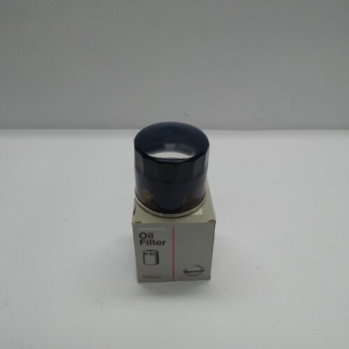 Oil Filter, 152089F60A