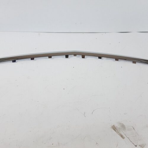 Trim/Protective Strip, Radiator Grille, 13191346