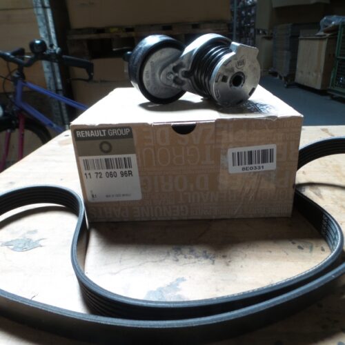 V-Belt Kit, 117206096R
