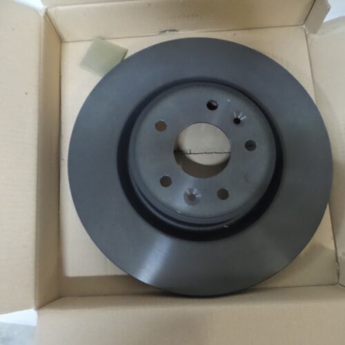 Brake Disc (1pc), 402060012R
