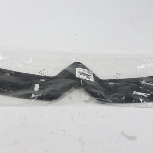Trim/Protective Strip, Radiator Grille, 9803505080