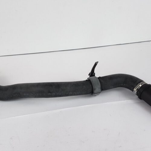 Radiator Hose, 8200921758