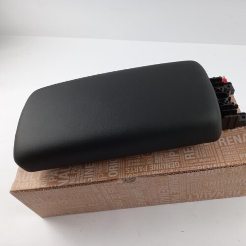 Armrest, 969206069R