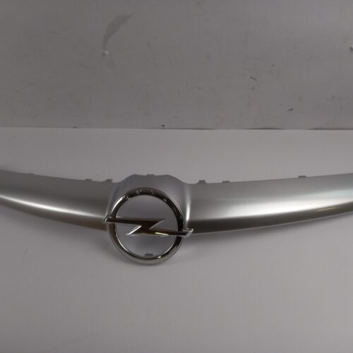 Radiator Grille Insert, 13450178