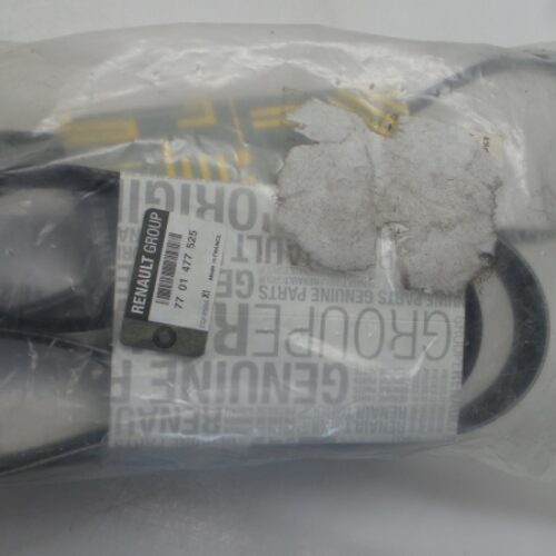 V-Belt Kit, 7701477525