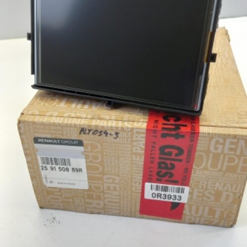 Multimedia Head Unit, 259150869R