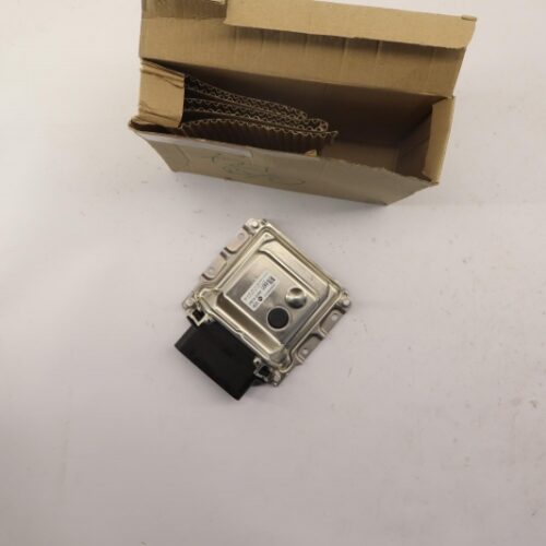 Control Unit, Engine Management, 296102U900